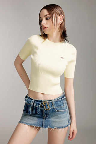 Round Neck Slim Fit Cropped Kint Top