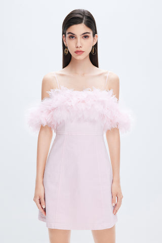 Light Pink Dress With Feather
