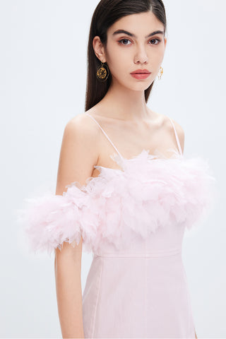 Light Pink Dress With Feather